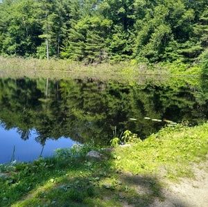 Meet your Posher, Ella